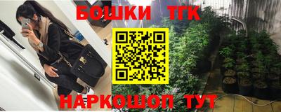 гидра Брянск